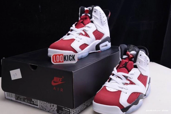 AIR RETRO JORDAN 6 'CARMINE' CT8529-106 2021 0716